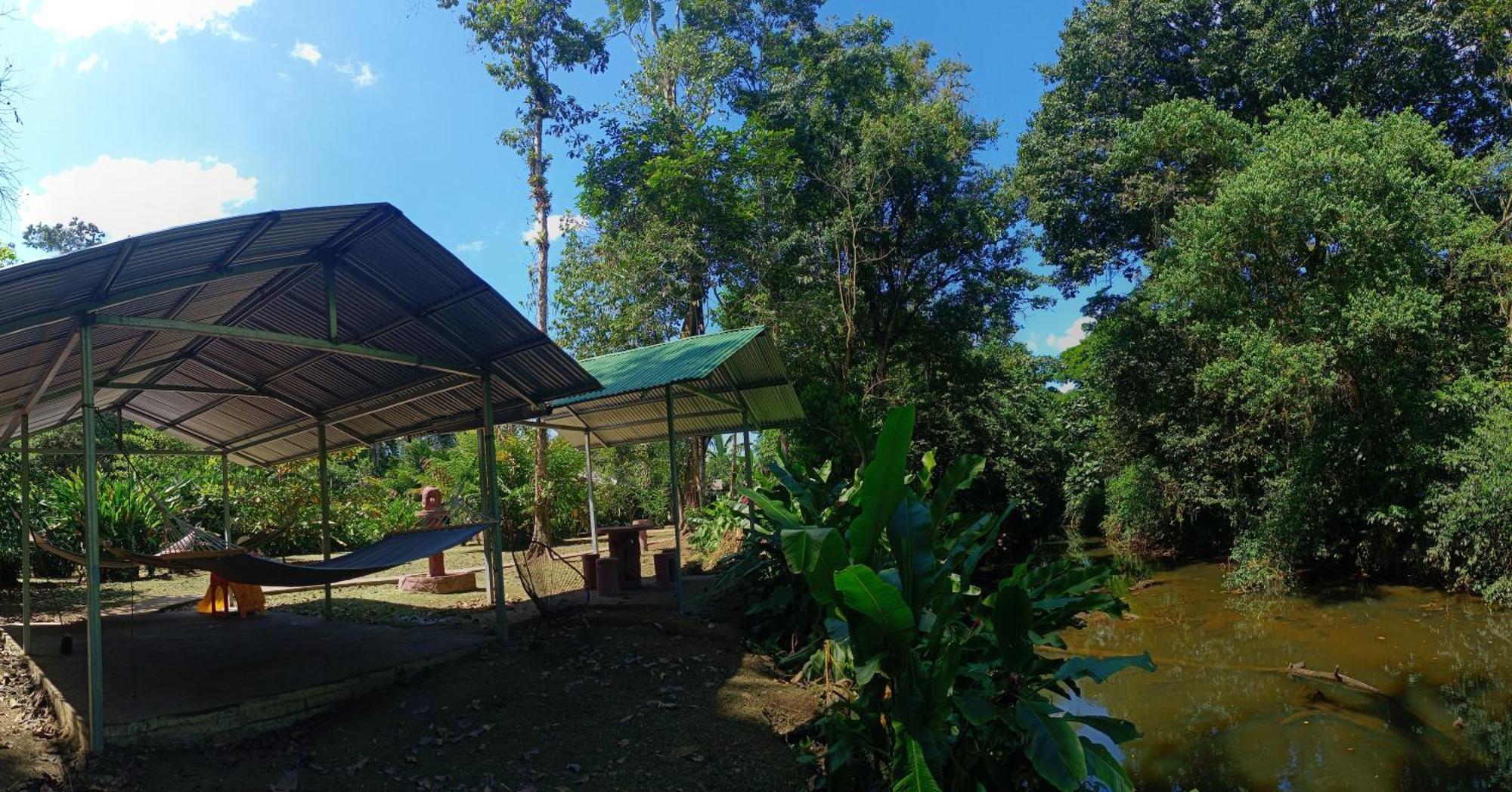 Finca La Paz - Sarapiqui Puerto Viejo de Sarapiqui Bagian luar foto