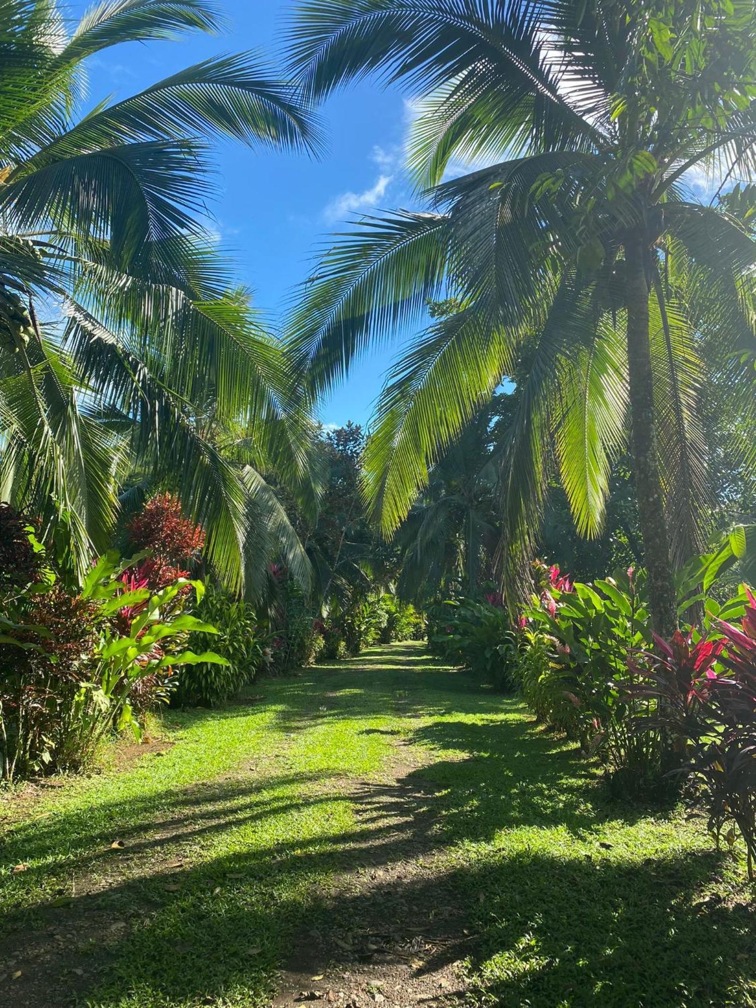 Finca La Paz - Sarapiqui Puerto Viejo de Sarapiqui Bagian luar foto
