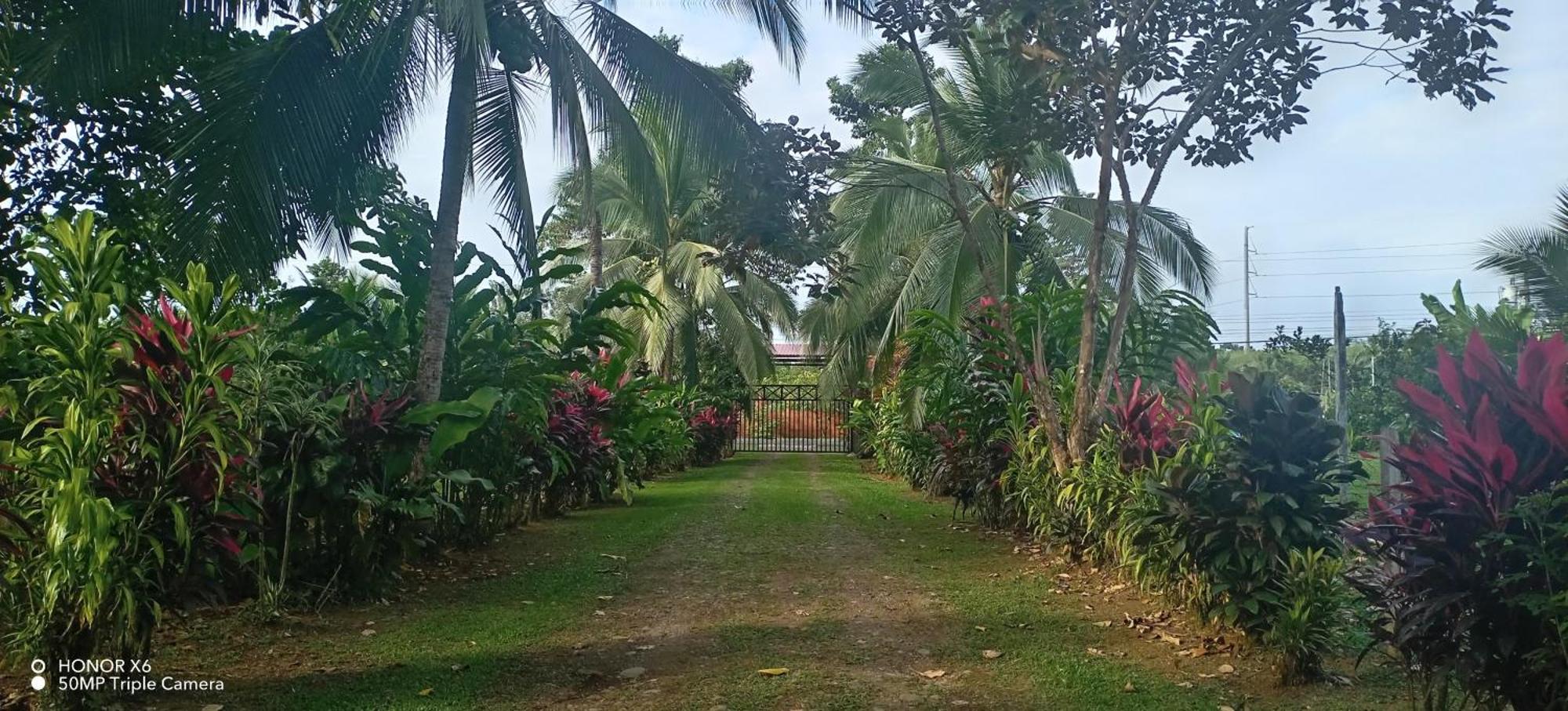 Finca La Paz - Sarapiqui Puerto Viejo de Sarapiqui Bagian luar foto
